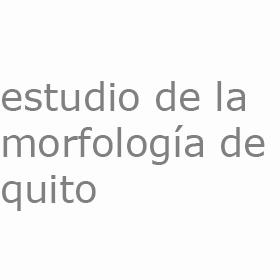 Estudio de la Morfología de Quito